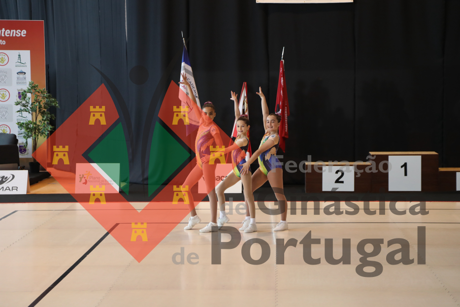1382_Taca Portugal AER